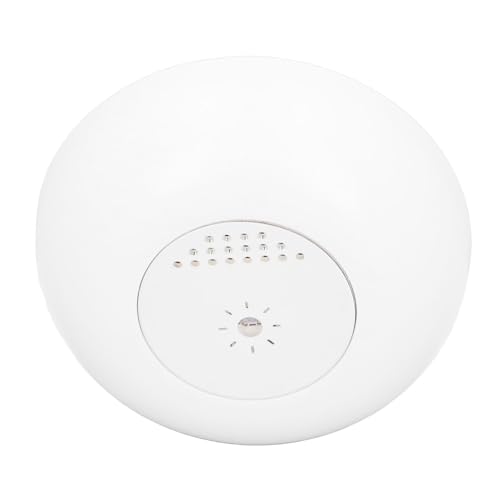 Haofy Remote Control Light Sensor with Real Time Monitoring, Ideal for Warehouses and Server Rooms