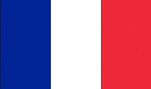 18" x 12" (45 x 30 cm) France French Tricolour Sleeved Boat Courtesy 100% Polyester Material Hand Waving Flag Banner Ideal For Pub Club School Festival Business Party Decoration