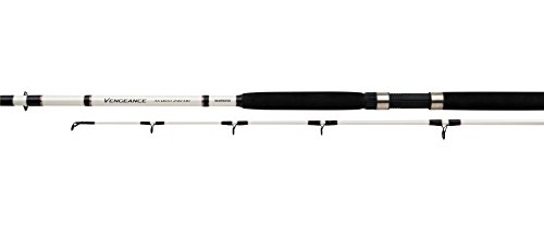 SHIMANO Rod Vengeance AX Boat 2,70m 300g 2pc