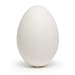 Hollow Blown Out Goose Eggshell 3.3 Inches Tall