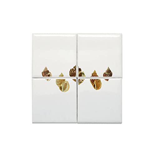 Carreaux céramique coquilles d'escargots pour créer une ambiance cabinet de curiosités vintage
