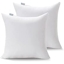 Acanva Decorative Throw Pillow Inserts for Sofa, Bed, Couch and Chair, Square Euro Sham Form Stuffer with Premium Polyester Microfiber,20" L x 20" W, 2 Count, White
