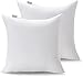 Acanva Basic None-Woven Poly Pillow Insert Form Sham Cushion, Square, 16" L x 16" W, Set of 2