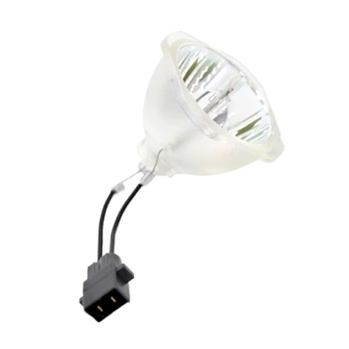 Ampoule de projecteur EB-W18 pour soirées cinéma et cours clairs