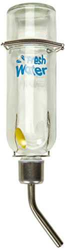 Nobby 25295 Glas Trinkflasche 355 ml