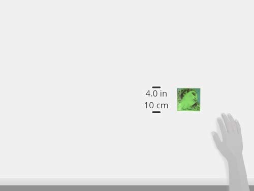 エヴァピラッツィネオ AD(silver)G線セット G:Silver ホビー・楽器 エヴァピラッツィネオ AD(silver)G線セット G:Silver ホビー・楽器