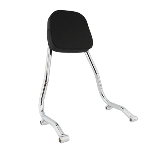 Sissy bar cojín pasajero BMW R18 con manija de agarre de acero cromado pulido