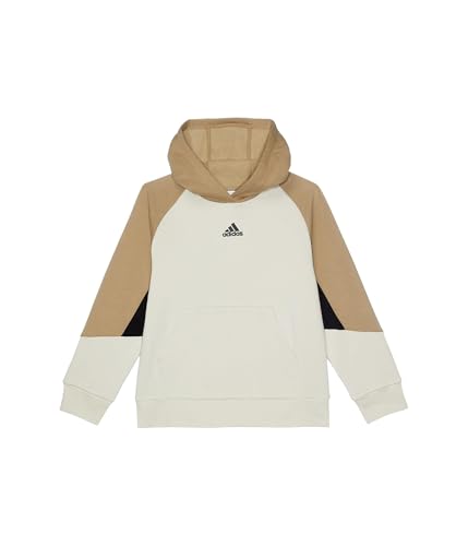 adidas Boys' Colorblock Hooded Pullover (Big Kids)