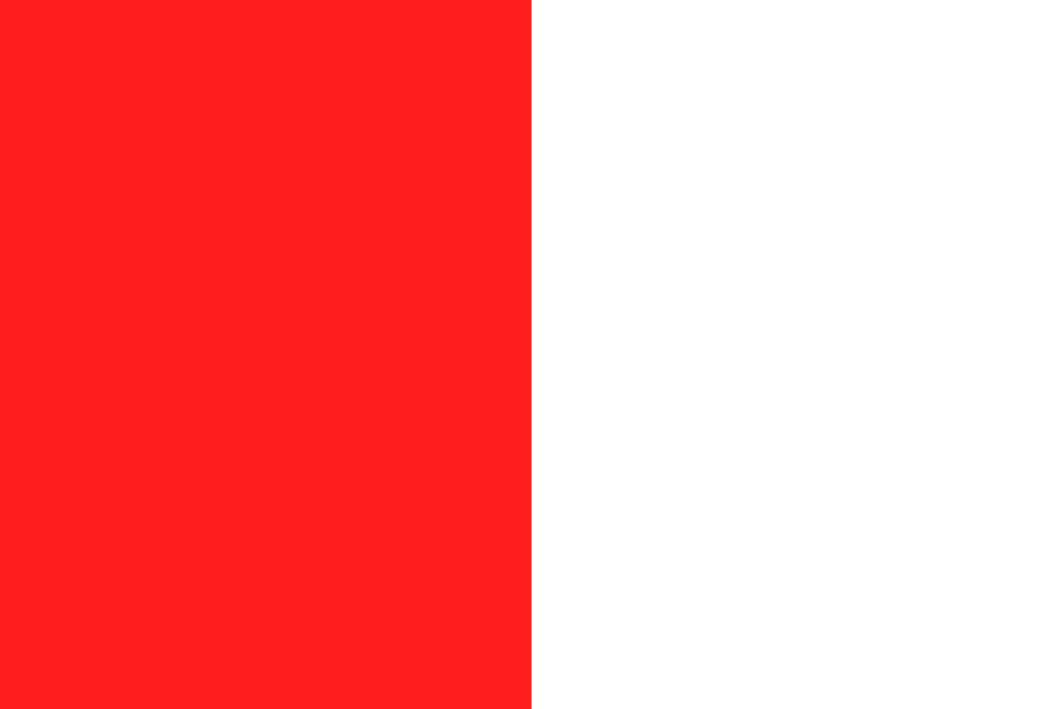 Drapeau de Pecq grand format couleurs officielles de la commune