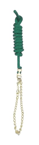 Perri's Poly Nylon Lead with 30-Inch Chain, Hunter Green, 8-Feet 30-Inch