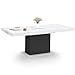 IDMarket - Tavolo da pranzo allungabile rettangolare Eden 6-10 Persone Piano Effetto marmo Bianco Alaska e Nero 160-200 cm immagine