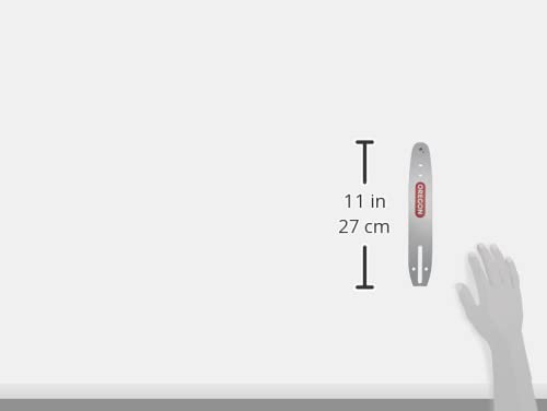 Foto von Oregon Kettensäge-Führungsschiene Double Guard 10