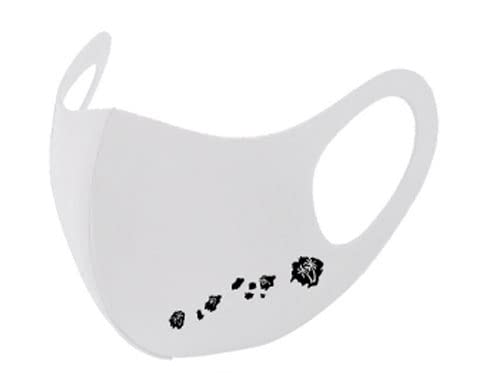 [PCYR[|[V] IWivg nCA N[ }XN RȏwłP肪333~ JԂg 􂦂 nC t t_X |Cg vg (J[FzCg fUCFnC)