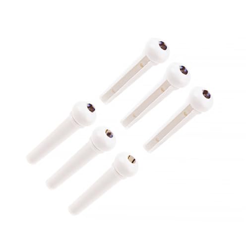 Abaodam 6 M^[ B AR[ M^[p t   M^[