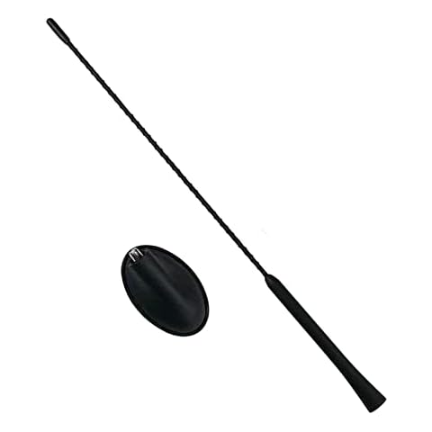 FanPaYY Car Antenna 41cm Raku 2 Amplifier Radio Aerial Roof Radio Antenna for Transit Mondeo Fiesta KA Kuga Focus C-MAX Cover