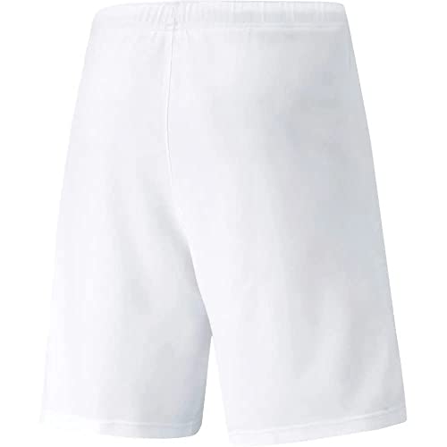 Image of Puma Men's Team Rise Knitted Regular Fit Hybrid Shorts