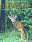  Rehwild: Lebensräume - Schutz - Bejagung