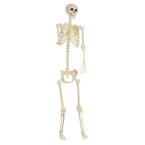 Squelette Halloween Teksome réaliste et articulé pour extérieur