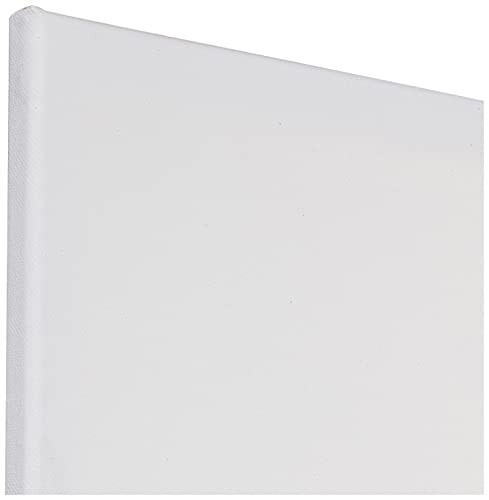 Sargent Art 16 X 20 Inch Stretched Canvas, Pack Of 10 Pieces, Blank White Canvases, Double Acrylic Titanium Priming, Perfect For Acrylic, Oil, And Art Projects, Acrylic Pouring & Wet Media #TOP3
