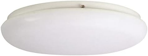 Thomas Lighting 2-Light Flush Mount in White 14W X 14D X 3.5H