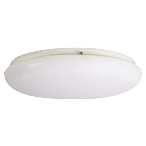 Thomas Lighting 2-Light Flush Mount In White 14W X 14D X 3.5H #TOP3