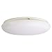 Thomas Lighting 2-Light Flush Mount in White 14W X 14D X 3.5H
