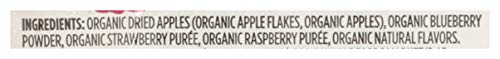 365 By Whole Foods Market, Fruit Strips Berry Blend Organic, 0.63 Ounce #TOP3