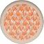 Cantaloupe