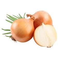 Sementes Importadas de Cebola Ipa 11 500g Topseed Garden