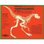 Weico 80314 - Ornithomimus Cover