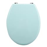 Color: Verde pastel MSV Asiento WC MDF Verde Pastel BISAGRAS DE Acero Inoxidable