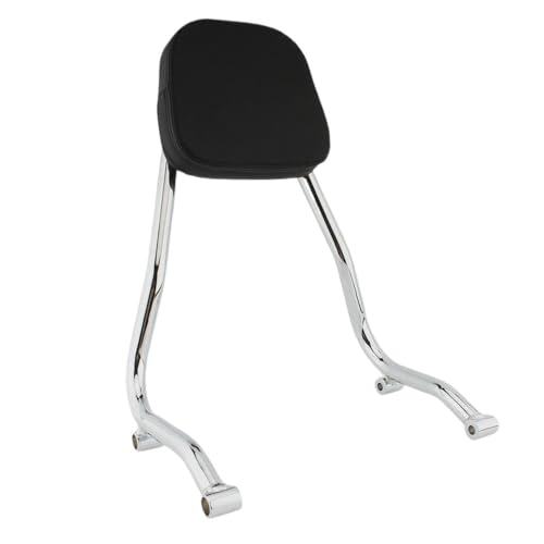 Dossier Passager Arrière Moto Pour R18 2020-2022 avec Coussin Noir et Poignée de Maintien Intégrée