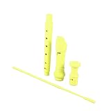 LRXIYODE Flauta Dulce Para Principiantes Flauta Melodica Escolar Juguete Musical Educativo De Agudos Infantil