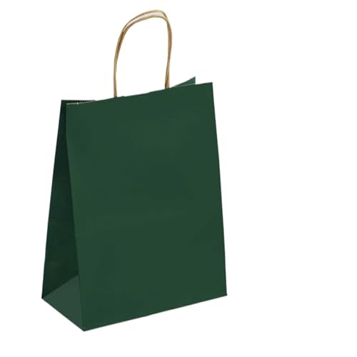Sac cadeau de fête résistant et réutilisable pour bijoux et shopping de luxe