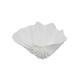 ALIWINER Small White Scalloped Clam Shell Bowl Sea Shell Decor for Nautical Beach House,Coastal Decor Gift of Housewarming and Wedding Party