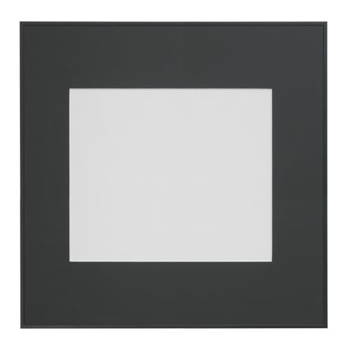 Amazon.co.jp: FUJICOLOR ( フジカラー ): アルミ額縁