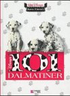 disney max schneider  101 Dalmatiner (Realverfilmung)