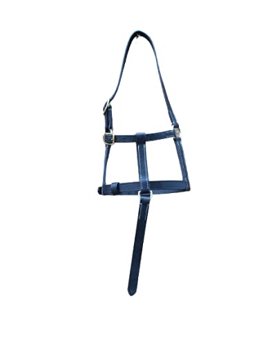 Cwell Equine COLLAR DE CABEZA CUERO FOAL NEGRO