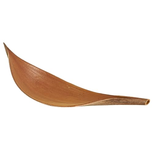 Palmeras Secas - de Madera Decorativo de Hoja de Cacao de 40-50 cm de Estilo escandinavo - follaje exótico Natural, 8-10 cm de Ancho | Envuelto Individualmente, Acento ecológico para la K