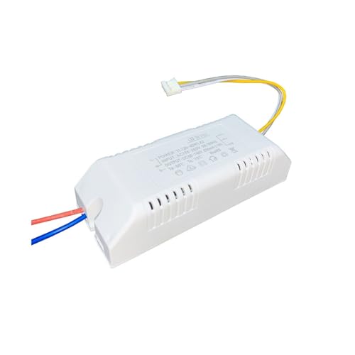 Pilote LED 12-24WX2 double canal avec variateur pour plafonnier