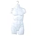 Only Hangers Male Torso Plastic Hanging Mannequin Body Form Clear Frosted - Pack of (1)