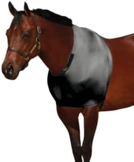 for Horses Small Solid Stretch Shoulder Guard Burgundy