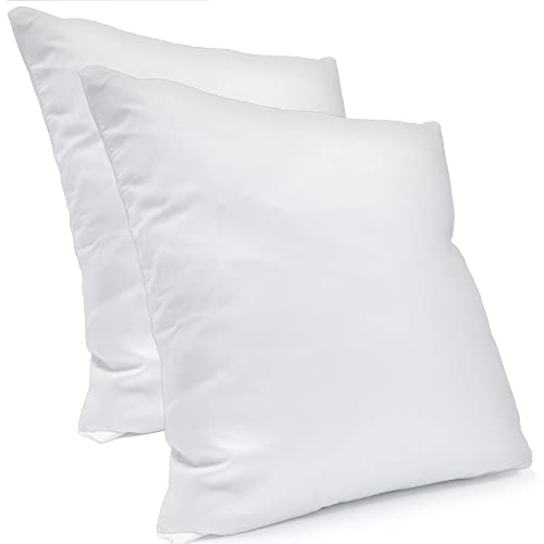DILUMA Kopfkissen 80x80 cm 2er Set - Weiches & Bequemes Mikrofaser Schlafkissen - Für Allergiker Geeignet, ÖkoTex100, Füllung aus feinen Polyesterfasern DILUMA Kopfkissen 80x80 cm 2er Set - Weiches & Bequemes Mikrofaser Schlafkissen - Für Allergiker Geeignet, ÖkoTex100, Füllung aus feinen Polyesterfasern