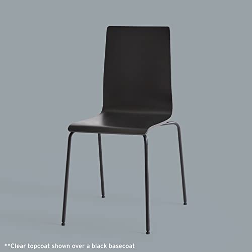 Rust-Oleum 249087 Painter's Touch 2X Ultra Cover Spray Paint, 12 oz, Matte Clear