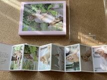 Amazon.co.jp: TWICE Mina - Yes, I am Mina. 1ST PHOTOBOOK