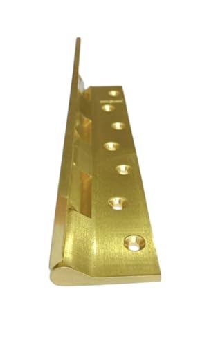 Image of BRASK Brass Railway Hinges 8 inch x 1.1 /4 inch x 5 /32 (200 mm x 32 mm x 4 mm) Heavy Duty Brass Door Hinges (Golden Satin, 1)