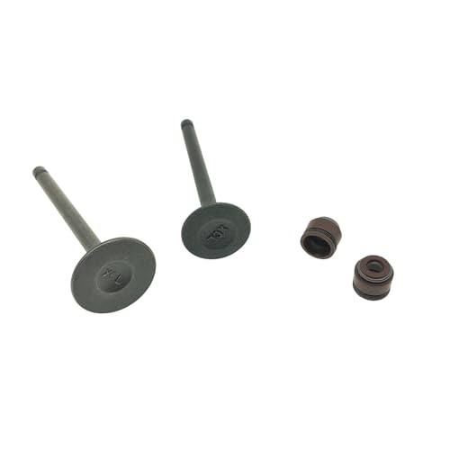 Kit de vástago de admisión YD110 CRUX para reparar la pérdida de potencia en 100cc