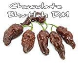(25+) Chocolate Bhutlah DM Pepper Seeds