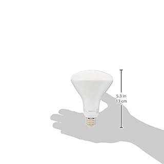 Amazon Basics BR30 LED Light Bulbs, Energy Efficient, Dimmable, E26 Standard Base, 65 Watt Equivalent, 11W, 10,000 Hour Lifetime, Soft White 2700K, 6-Pack of Bulbs