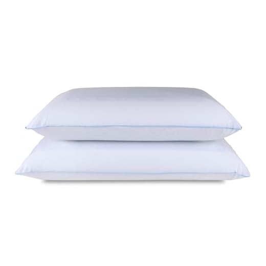 Tempur-Pedic TEMPUR-Cloud Dual Cooling Pillow, Queen, White